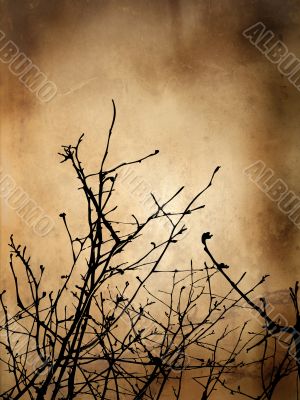 Winter Grunge Background