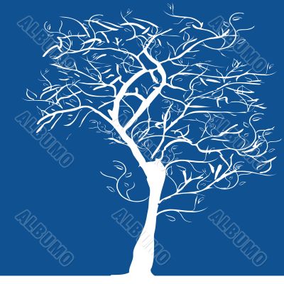 Tree silhouette