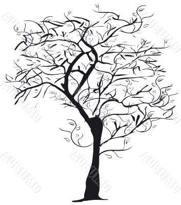Tree silhouette