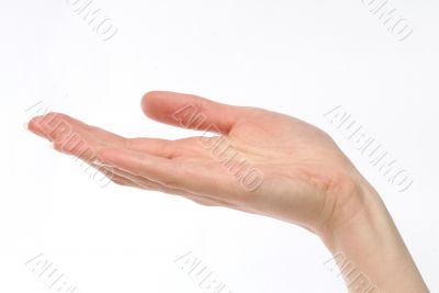 Holding out a hand
