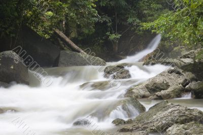Tropical Rainforest Stream