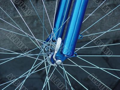 spokes of a bicycle