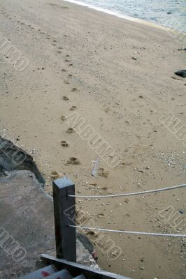 Beach footsteps
