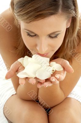 rose petals rose petals