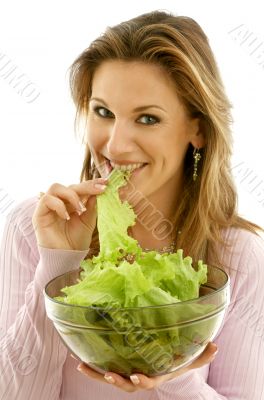 lettuce #2