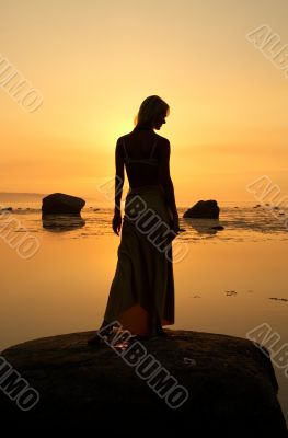 seashore silhouette seashore silhouette
