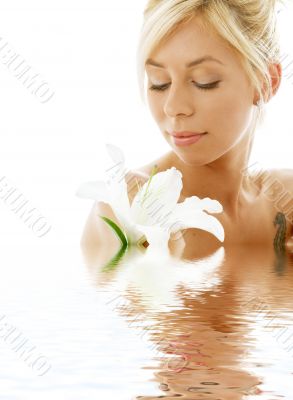 lily blond in water