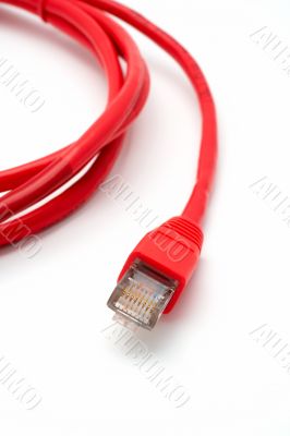 Two red network cables isolated