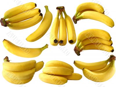 collection of isolated banana on white background