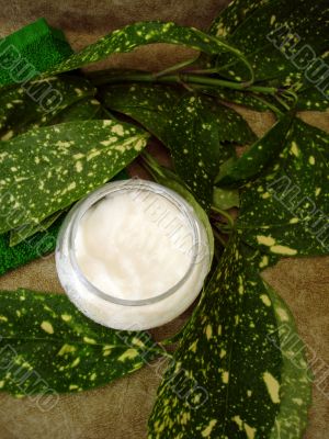 container of cosmetic moisturizing cream with leaves