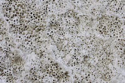 Limestone background