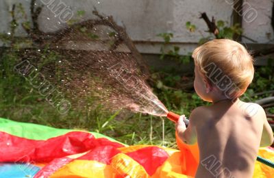 summer in the garten summer in the garten