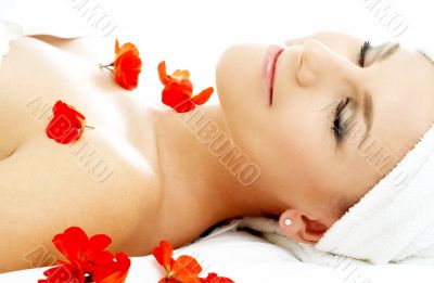 red flower petals spa #2