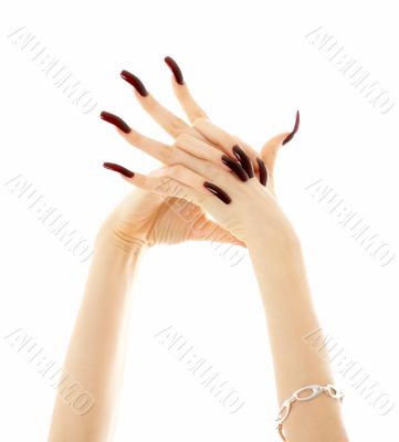 hands with long acrylic nails