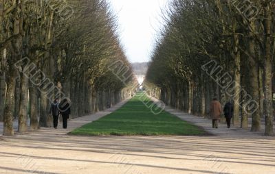 alle in Fontainebleau