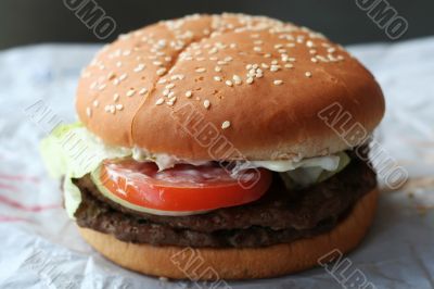 Fastfood hamburger