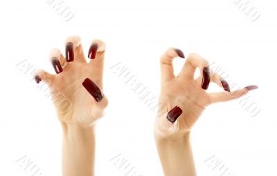 aggressive hands with long nails