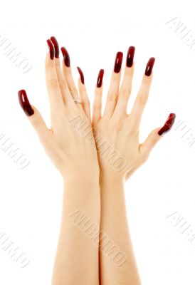 two hands with long acrylic nails