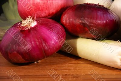 Onion still life