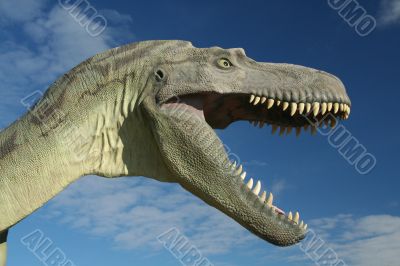 Albertosaurus, head
