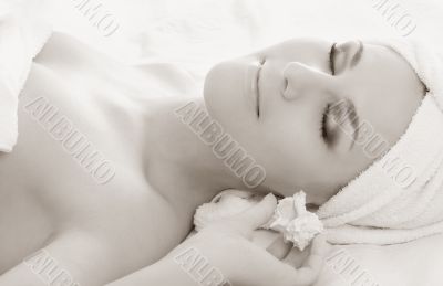 monochrome sea shell monochrome sea shell
