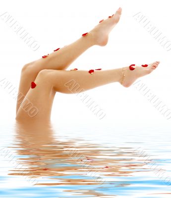 beautiful legs in blue water beautiful legs in blue water