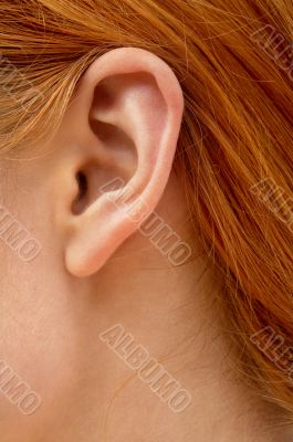 ear of redhead lady
