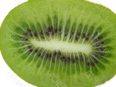 fruit fruit
