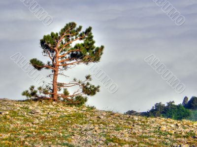Mountain landscape. Crimea.