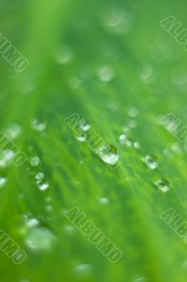Waterdrop background
