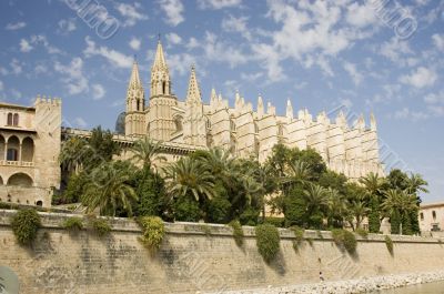 Palma Cathedral