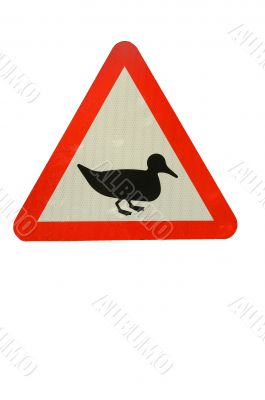 Duck crossing sign