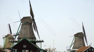 traditional windmills in Holland