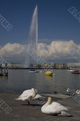 jet D`eau  in Geneva