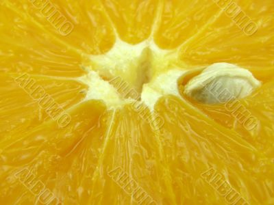 fruit fruit