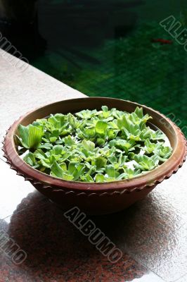 Balinese table