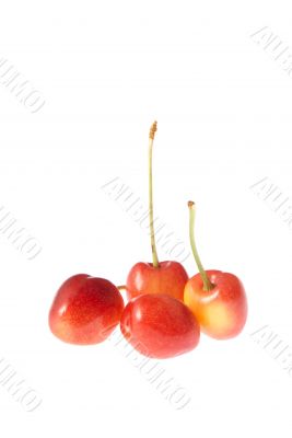 Four red-yellow yummy cherries