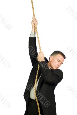 The Predicament The Predicament
