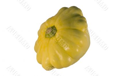 Yellow squash