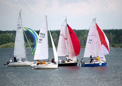 Regatta