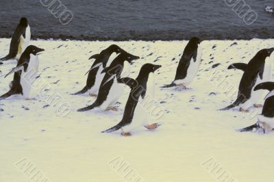 March of the Penguins