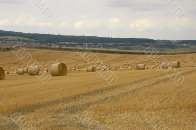 Rolls of hay