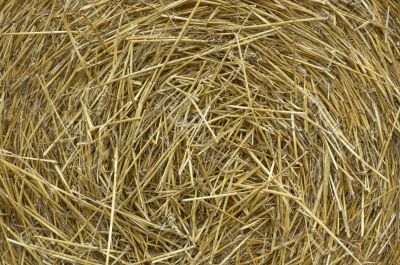straw background