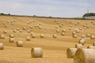 Rolls of hay