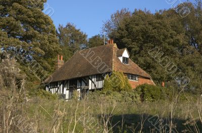 Tudor house