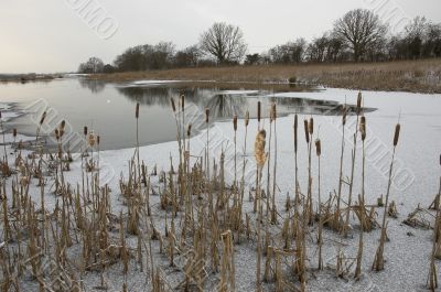 Frozen pond