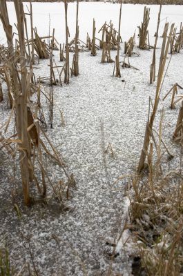 Frozen pond