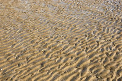 Sand ripples