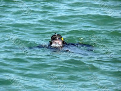 Military Diver On Mission