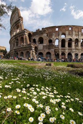 Flowers and Colosseum